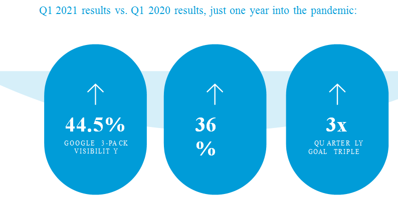 SEO case study results