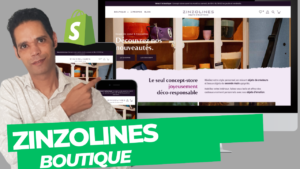 ZINZOLINES Shopify store setup
