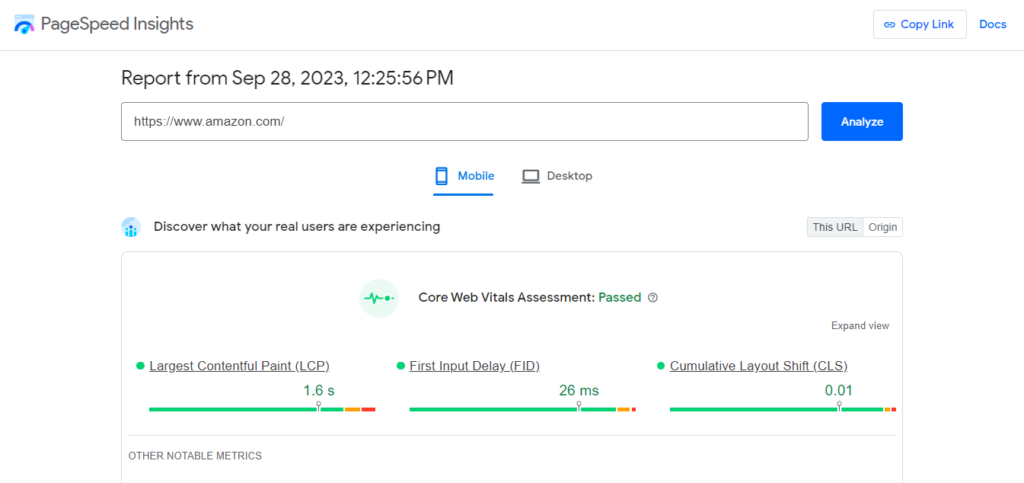 page speed insights